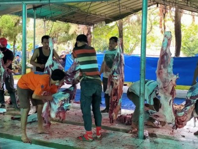 MASJID AL-HIDAYAH BCC TUNTASKAN PENYEMBELIHAN KURBAN IDUL ADHA